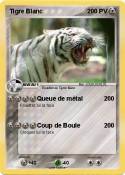 Tigre Blanc