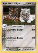 Tigre Blanc +
