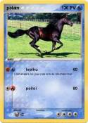 polain polain
