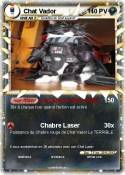 Chat Vador