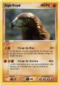 Aigle Royal 1