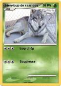 chien-loup de