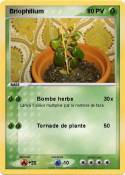 Briophilium