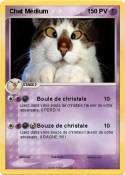 Chat Médium Chat Médium
