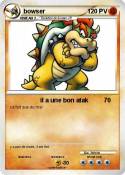 bowser