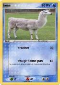 lama