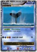 dophin