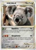 KOKOALA!