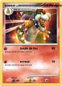 bowser