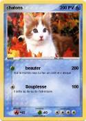 chatons