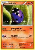 cocinelle