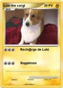 Loki the corgi