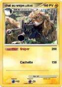 chat au snipe