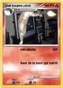 chat boume