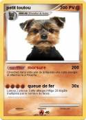 petit toutou petit toutou