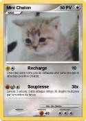 Mini Chaton