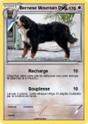 Bernese