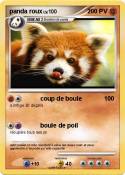 panda roux panda roux