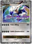 Hayabusa Keshin