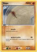 Triops