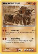 TROUPE DE TIGRE