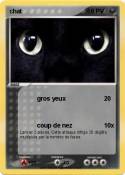 chat