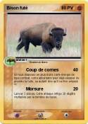 Bison futé
