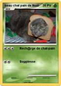 beau chat pain