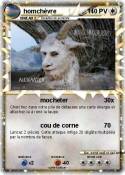 homchèvre