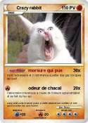 Crazy rabbit