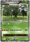 arbre
