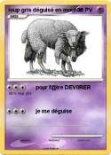 loup gris