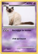 birman