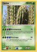 Cactus
