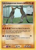 Les kangourous