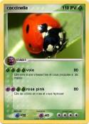 coccinelle