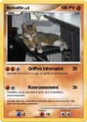 Noisette