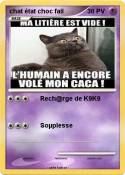 chat état choc fail chat état choc