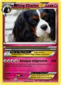 King Charles