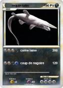 requin lutin requin lutin