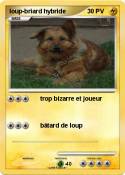 loup-briard
