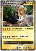 Bébé guépard