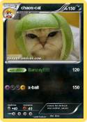 chaos-cat