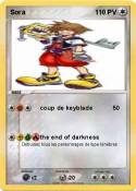 Sora