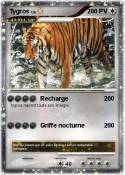 Tygros