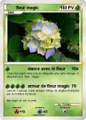 fleur magic