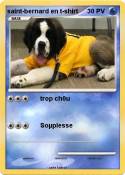 saint-bernard en t-shirt saint-bernard