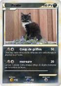 Ficelle
