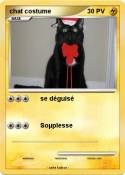chat costume
