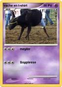 vache en